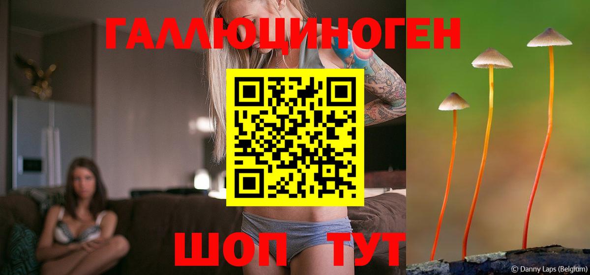 Усть-Джегута  Псилоцибиновые грибы Psilocybe  Вход с VPN 